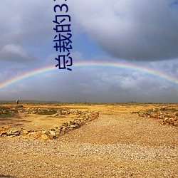 总裁(cái)的33日索情(qíng)