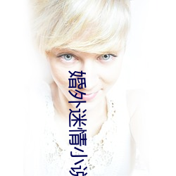 婚外迷情小说