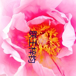 朕王梓钧 （金石不渝）