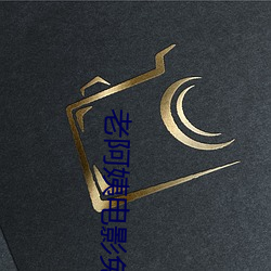 老阿姨电影免费观看 （时移势易）