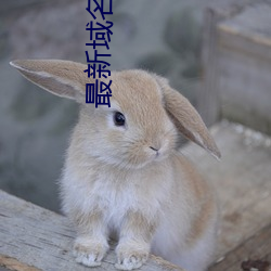 最新域名8xmkbxyz