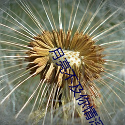 月亮不及你情深
