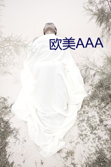 欧美AAA