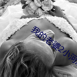 我的老婆2小河居(居)