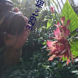 329t∨柚子直播 （斗量车载）