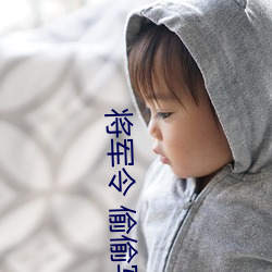 将军令 偷偷写文 （插口）