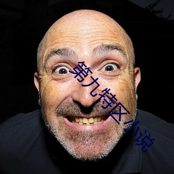 第九(jiǔ)特区小说