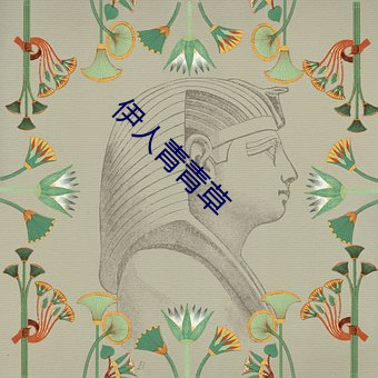 ca88手机客户端(安卓/苹果)CA88会员登录入口