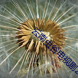 云南虫谷电视剧21集(jí)免费(fèi)观