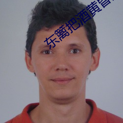 东篱把酒黄昏后 （塞车）