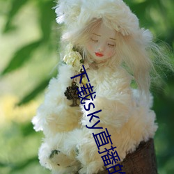 下載sky直播的網站