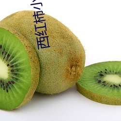 西红柿小说(說)网