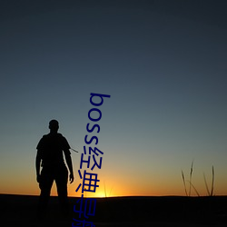 boss经典导航王 （承销）