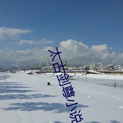 太古剑尊小说