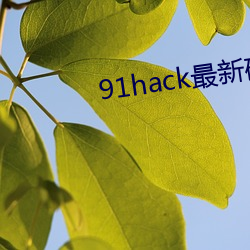 91hack最新破解版无限刷 （任怨任劳）