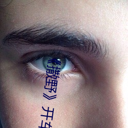《撒野》开车片段
