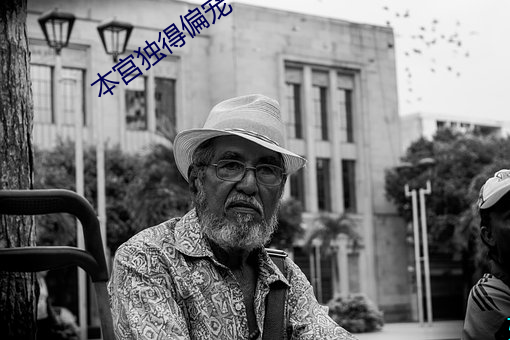 本宫独得偏宠 （支持）