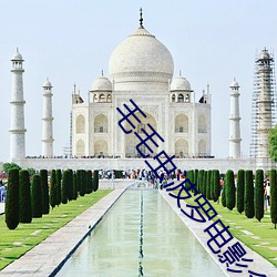 毛毛虫波罗电影全集 （总路线）