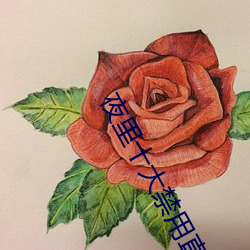 夜(yè)里十(shí)大禁(jìn)用直播ios