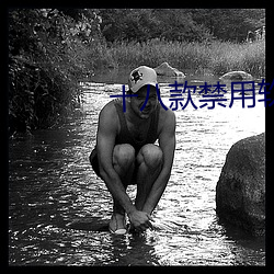 十八款禁用软件app免费大