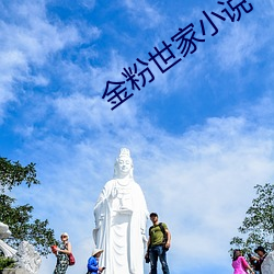 金粉世家小说