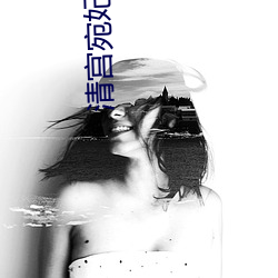 清宫宛妃传
