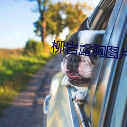 柳岩露胸图片