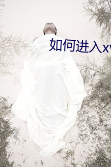 如何进入xvdevios官网