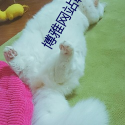 博雅網站韓婧格王多魚v1.4.12