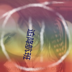 迫降航(航)班(班)