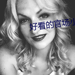 好看的官场小说 （断乎）