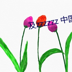 918博天堂·(中国)手机版客户端