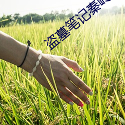 尊龙凯时·(中国)官方网站