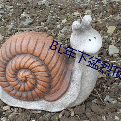 BL年(年)下(下)猛烈(烈)顶(頂)弄H