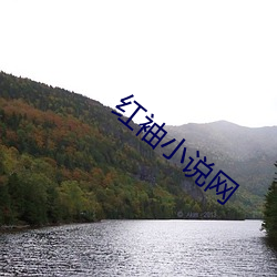 紅袖小說網