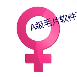 A级毛片软件下载