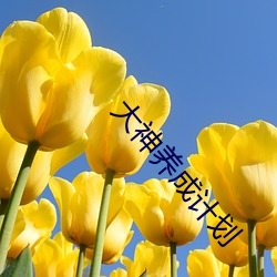 大(dà)神养成计划