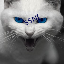 SSNI （贵耳贱目）