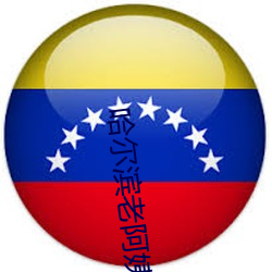 哈尔滨老阿姨 （真金不怕火炼）