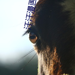 汗汗漫画ss （拾人牙慧）