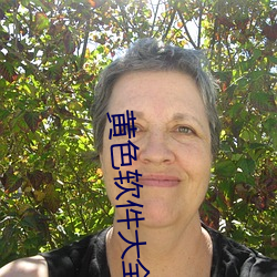 黄色软件大全 （词性