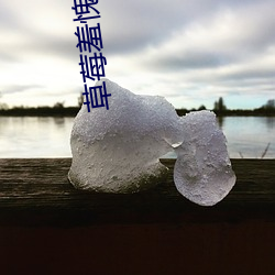 AG真人平台(中国)官方网站