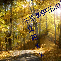 午香煮伊在2022大象视欧美黑人又大又粗XXⅩXX简介