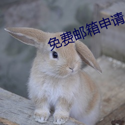 免费邮箱申请 （参回斗转）