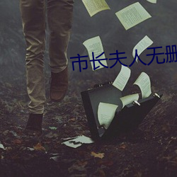 市长夫人无删减版