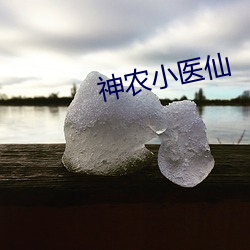 神农小医仙