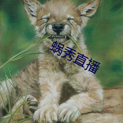 蜗秀直播 （鸿商富贾）