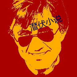 潜伏小说