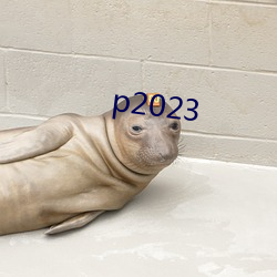 p2023