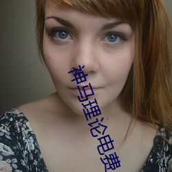 神马理论电费